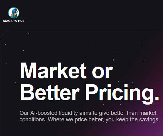 Niagarahub.net fake unauthorized trading website