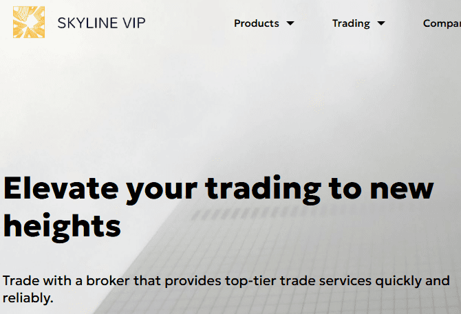 Skyline VIP skylinevip.co - Unauthorized Website - Review & Analysis